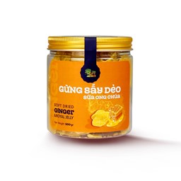 Hiển thị chi tiết cho GỪNG SẤY DẺO SỮA ONG CHÚA Ảnh của GỪNG SẤY DẺO SỮA ONG CHÚA