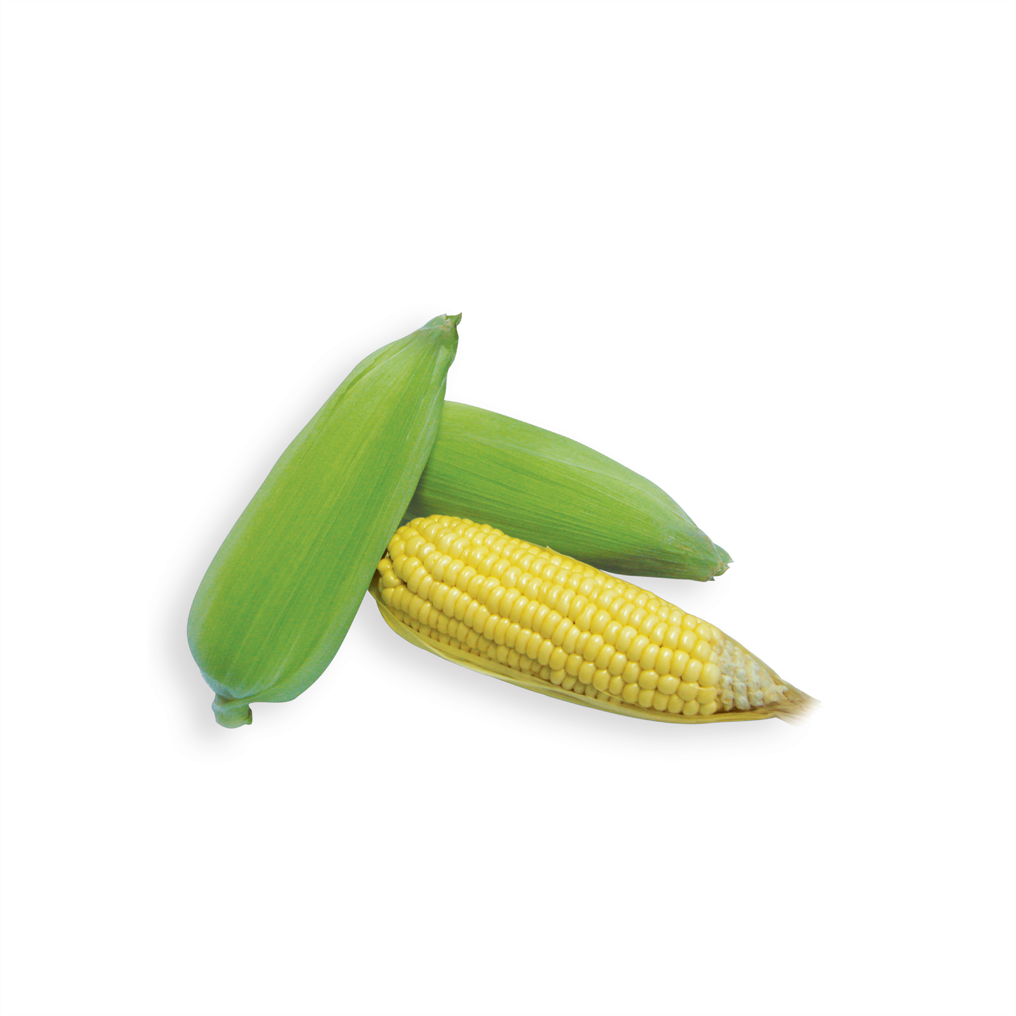 Hình ảnh cho thể loại FROZEN VEGETABLE (EXPORT)
