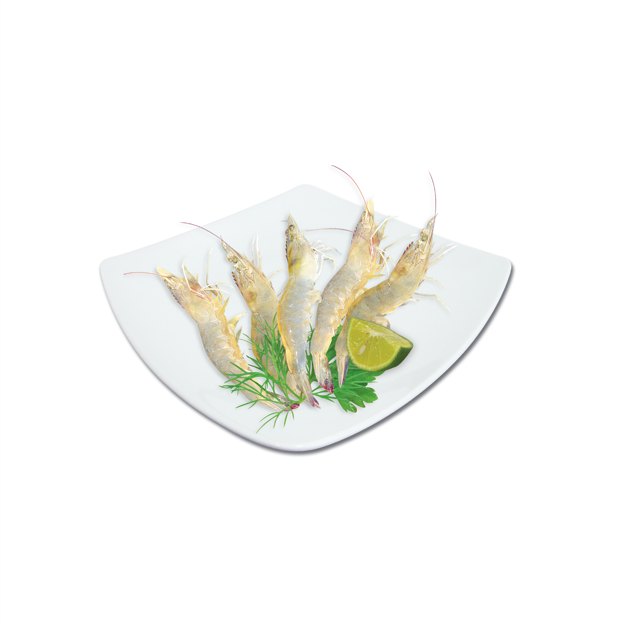 Hình ảnh cho thể loại SHRIMP
