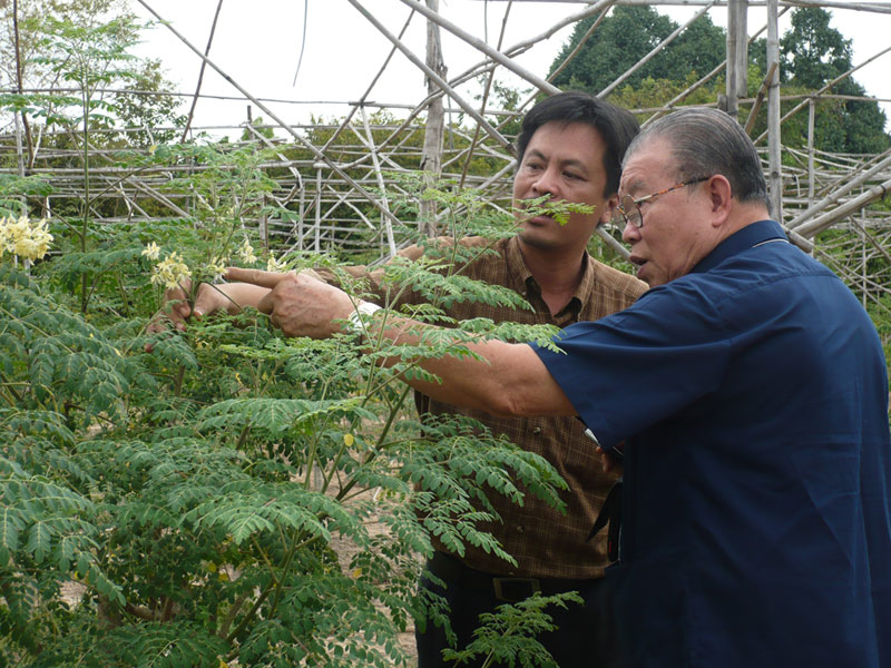 GS.TS -Nhà Nông học Võ Tòng Xuân, Thạc sĩ Trần Gia Bảo